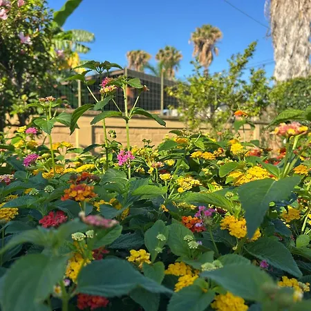 San Leone Con Giardino فيلة *