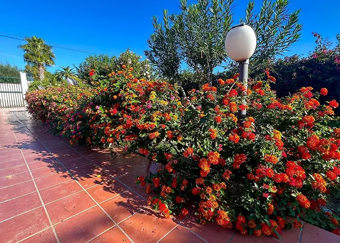 San Leone Con Giardino