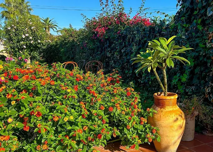 Villa San Leone Con Giardino Agrigento