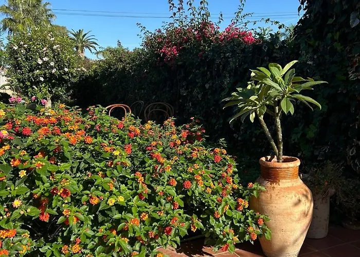 San Leone Con Giardino *