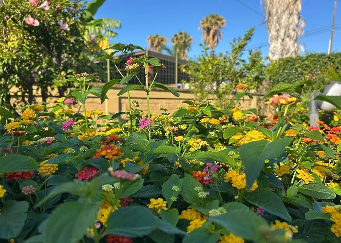 Villa San Leone Con Giardino *